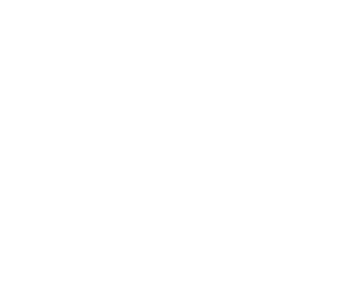 Viking Arms PMD